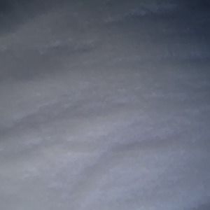 Meet your Posher, Dylan